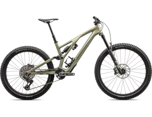 2024 Specialized Stumpjumper EVO Expert T-Type - Satin Metallic Spruce / Dark Moss